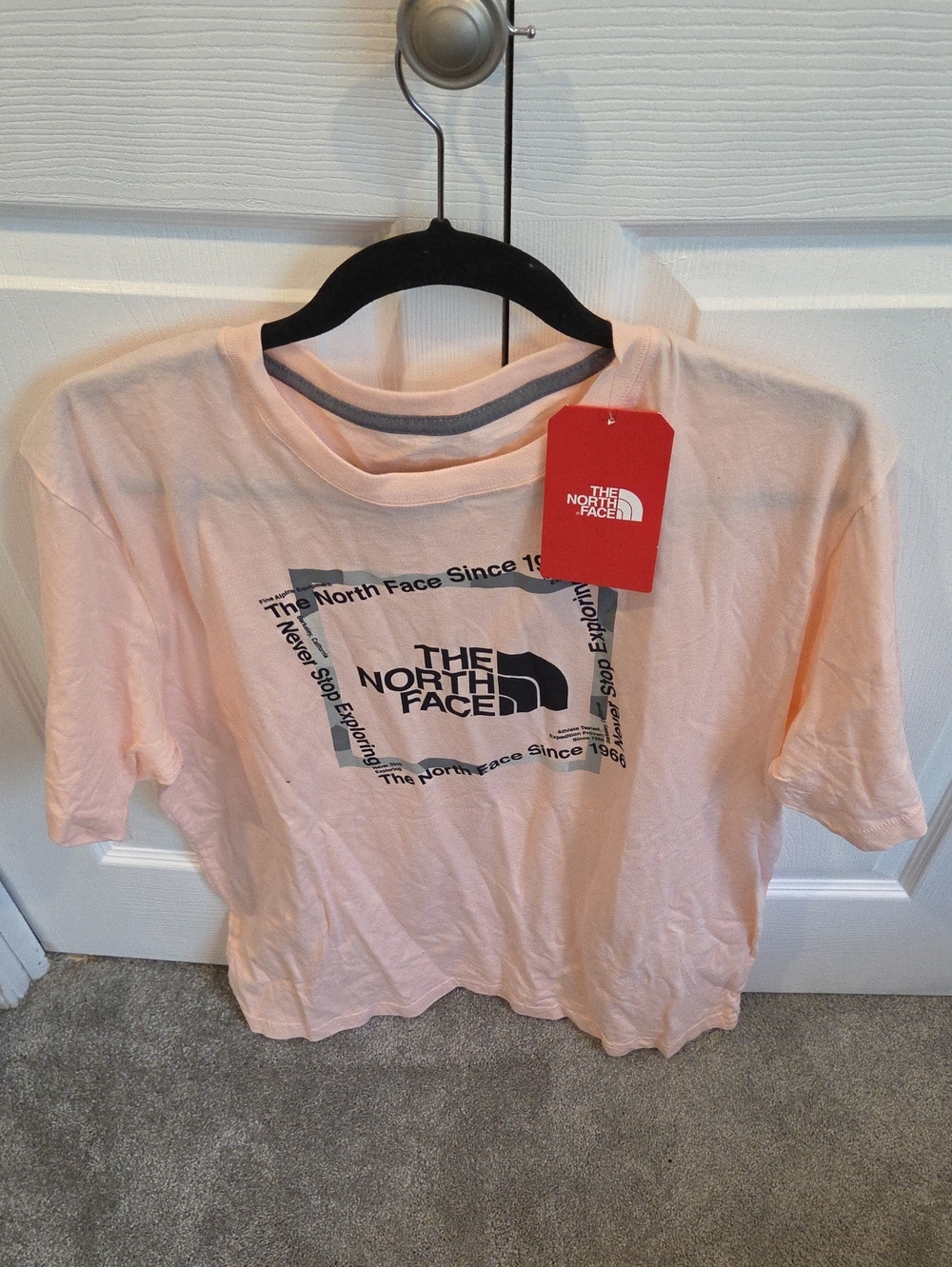 The North Face Light Pink Logo Graphic Tee
